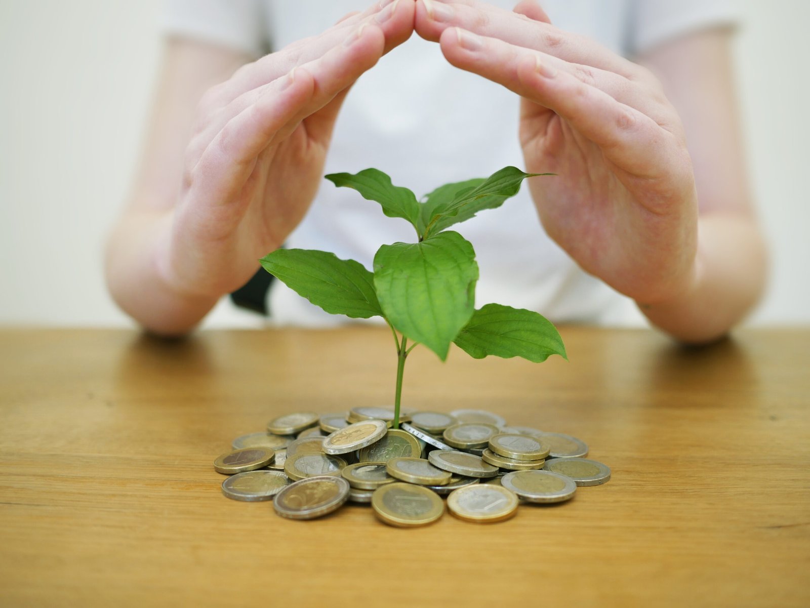 aLiwa Business - أفكار مشاريع مبتكرة ومربحة
